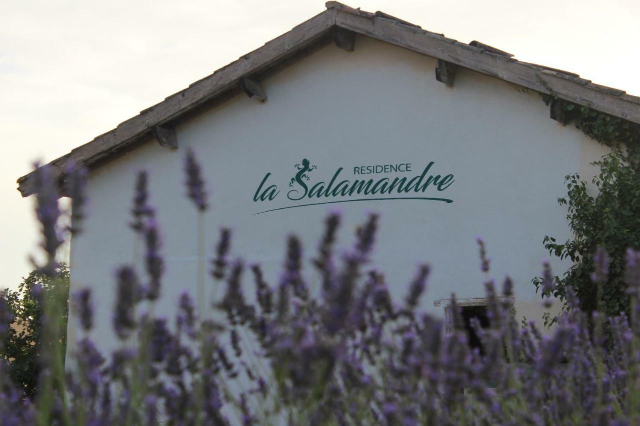 Residence La Salamandre Kamers Rabastens Exterior photo